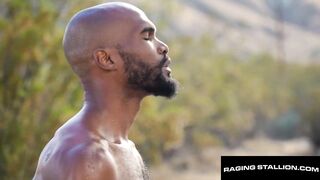 VIOLENT STUDHORSE - Hirsute Aperture Outdoors - Boe Jack Ryan’s Giant Weenie Claims Brody Meyer