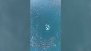 Playing at the Sea