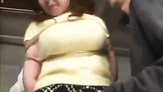 Large Tit Oriental Domination