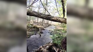 Cruising for Girlcock in the Woods POV