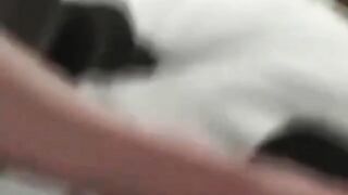 Cuckold Archive BBC bull with sissys youthful wife banging