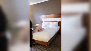 Bambi Gets Banged by Hotel Manager