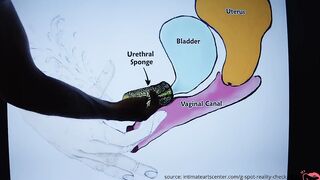 How to! SQUIRTING TUTORIAL - Mr PussyLicking