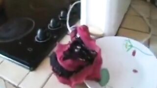 BBC Addiction - 100% Amateur and Home Made Porn Clips. MILFs Addicted to BBC and Interracial Bangin