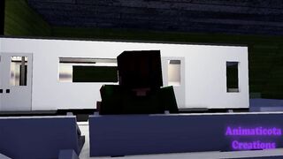 A Palatable Cock In Metro - Minecraft Homo Sex