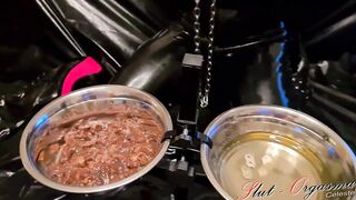 Serf Doxy-Orgasma Celeste eating dog food and drinking urinate