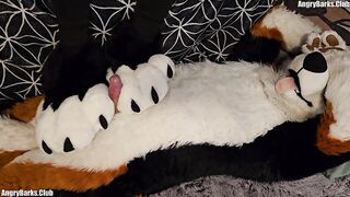 pawslut puppy gets back to back pawjobs with biggest 2nd jizz flow at the end