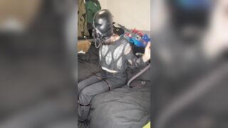 trying head harnes hogtie