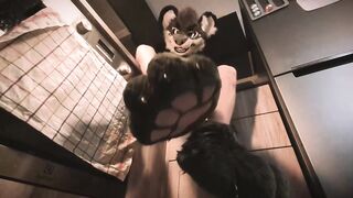 Hyena fursuiter jerks off in the kitchen (paws)