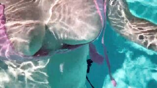 Artemisia Love hawt bikini fetish underwater moist top large melons fetish