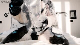 Hyena fursuiter screws inflatable toy