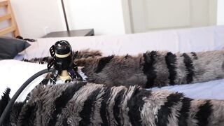 Fursuiter gets milked and overstimmed using a Venus 2000