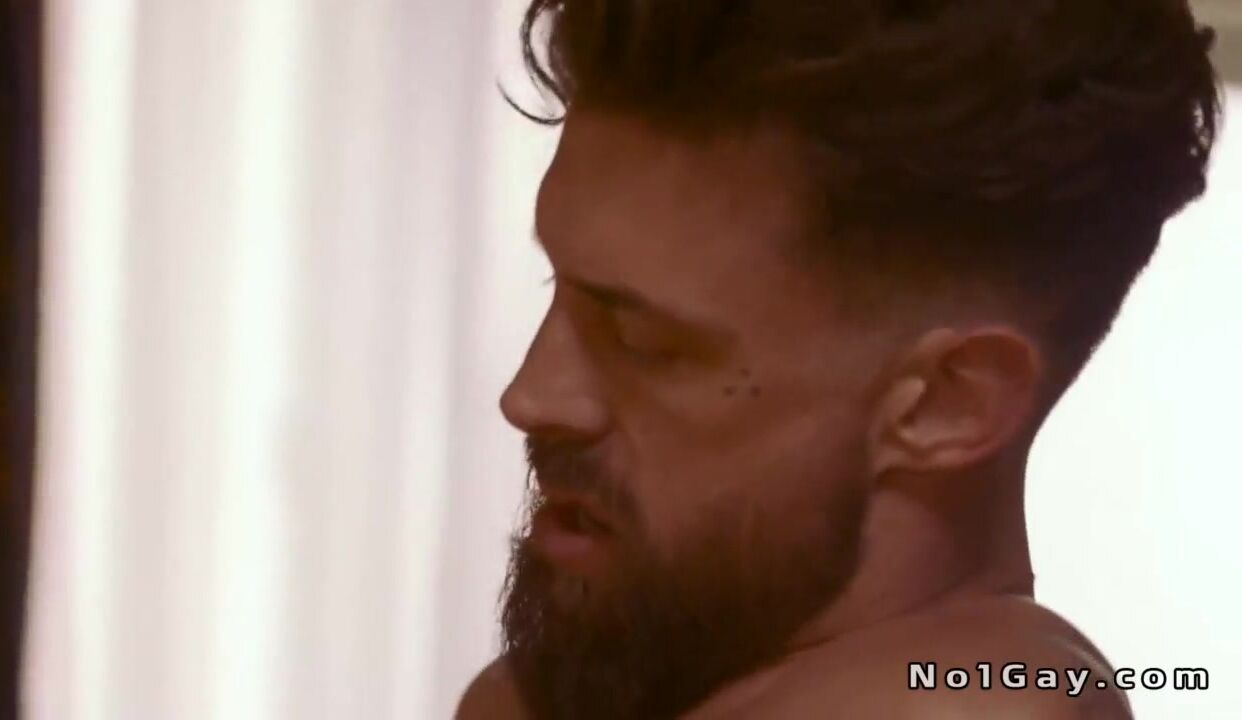 Homo oral job action and anal play