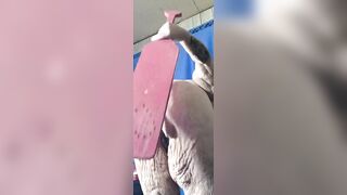 I'm Sorry Paddlng Her Butt I Won't Do It Anew