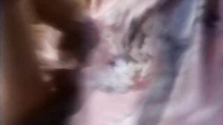 Revenge of the Honeys #2 (1986, Tracey Adams, full clip DVD)