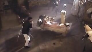 Shannon Whirry -Anim Instincts II