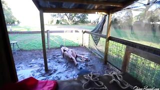 Hogtied beauties were gagged and rolling in the mud, the other day, and then they got washed