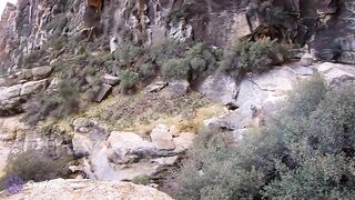 3 Hikers Get Lost and Bang to Stay Warm! - Hot Hippies // Frankie Rivers