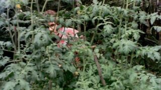 Summertime Blue (1979)