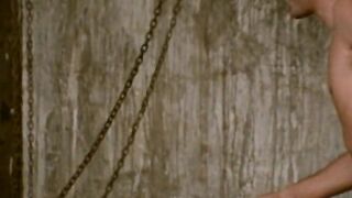 The Sinful Dwarf (1973)