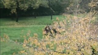 TV 666 - RITRATTO DI FAMIGLIA - Movie Scene 1