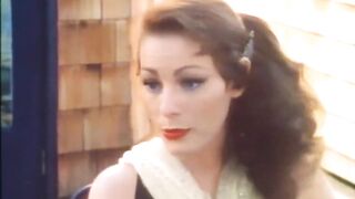 Swedish Erotica Film 342