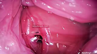 Camera in Snatch, Cervix POV, Small Cucked by Biggest ‘Pair’, Cum in Fuck-rubber and Creampie - Full Movie scene