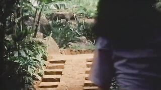 THE PINK LAGOON A SEX ROMP IN PARADISE (1984)