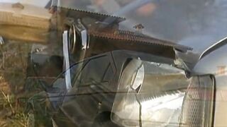 The Towering Bigots Of France