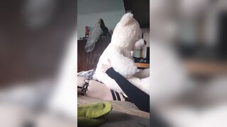 Cute Femboy desperately humps his plushie