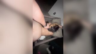 Banging my GF on the patio in Hollywood Fl