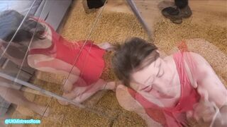 Blameless hotty in red suit massive cum facial