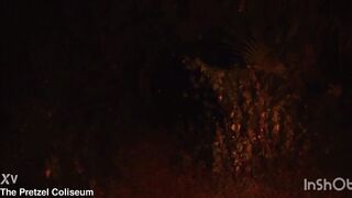 Hawt big beautiful woman Large Ass Black Last Beauty Captured By Masked Dong-Slinging Slasher And Banged Like A Whore On Halloween