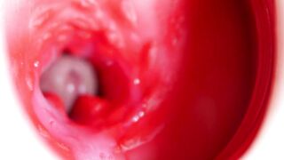 Precious large head slips inside most good ally's ravishing shiny aperture!