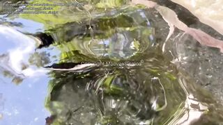 Stepbrother bangs his stepsister in the shower and this chab cums on her large breasts