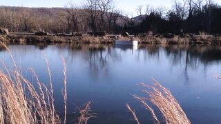 Don Whoe breaks Sexy Bitch Cutie Love