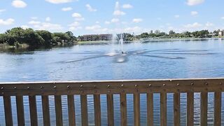 Hanging out in public park with my large sex-toy