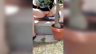 Maintaining my desert rose , top on panties off