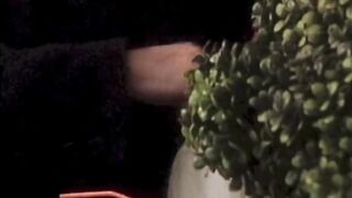 Blow Job at the Wedding Party