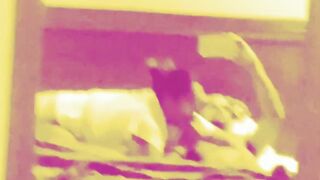 GOBBLES KNOB & Folds legs behind head