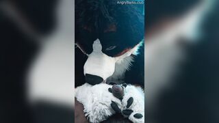 Fur Puppy Voz makes a mess without SJ