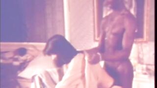 Eric Edwards Wild Fucker