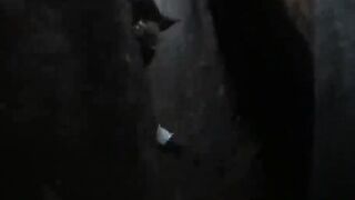 Screwing in the Sequoias Trail of the Giants