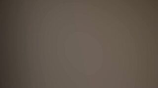 Cronache di Troie Francesi