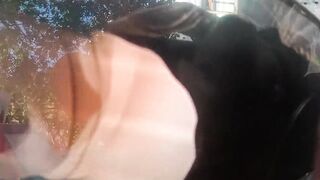 I bang my ally's wife each time her cuckold spouse leaves the abode; the floozy always orgasms when I eat her booty.