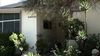 Rainbow Party- Titopia