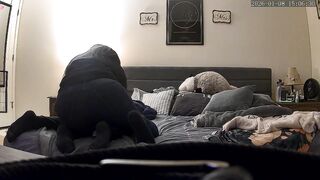 Trans Guy Gets Screwed From Behind by His Wife