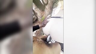 Bubble ass white male gets drilled by large ebony schlong