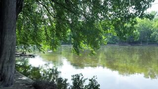 Gave Her a Creampie in Nature (nearly Caught)