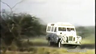 the large weenie tribe